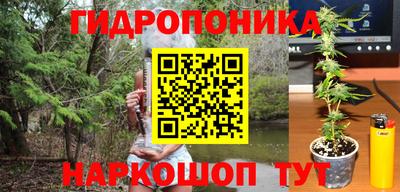a pvp Мариинск