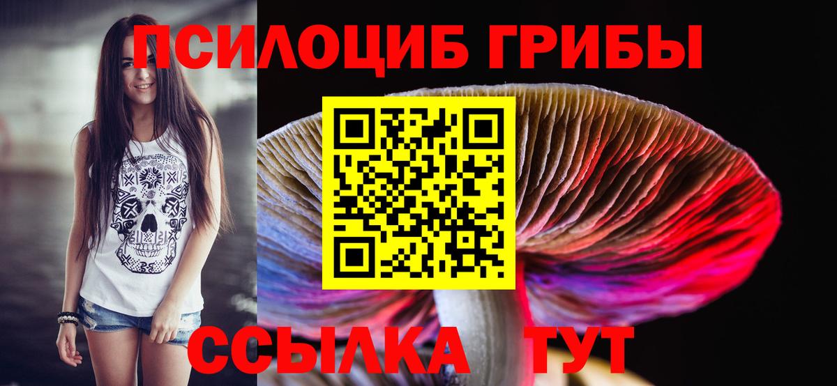 Сафоново  Псилоцибиновые грибы GOLDEN TEACHER  Псилоцибиновые грибы Psilocybe  Вход с VPN 